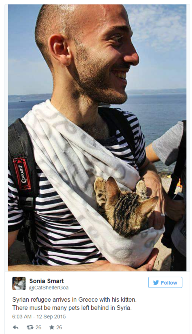 یونان پہنچنے والا ایک شخص اپنی پالتو بلی کے ساتھ۔ نجانے کتنے پالتو جانور شام میں رہ گئے ہوں گے