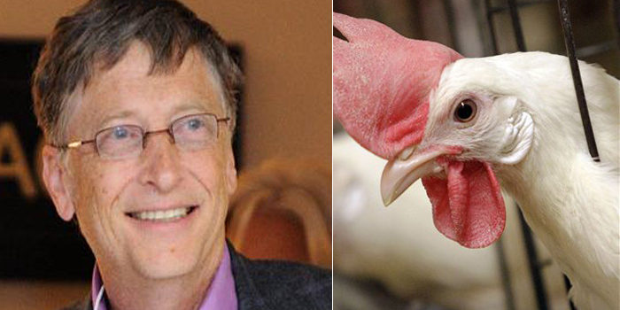 Bill-hen-Gates