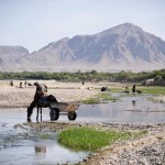 طالبان نے ہلمند کے اہم ضلع موسیٰ قلعہ پر بھی قبضہ کرلیا