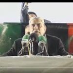 پروا نہ کریں، میں سب کو دیکھ لوں گا، صدر مملکت